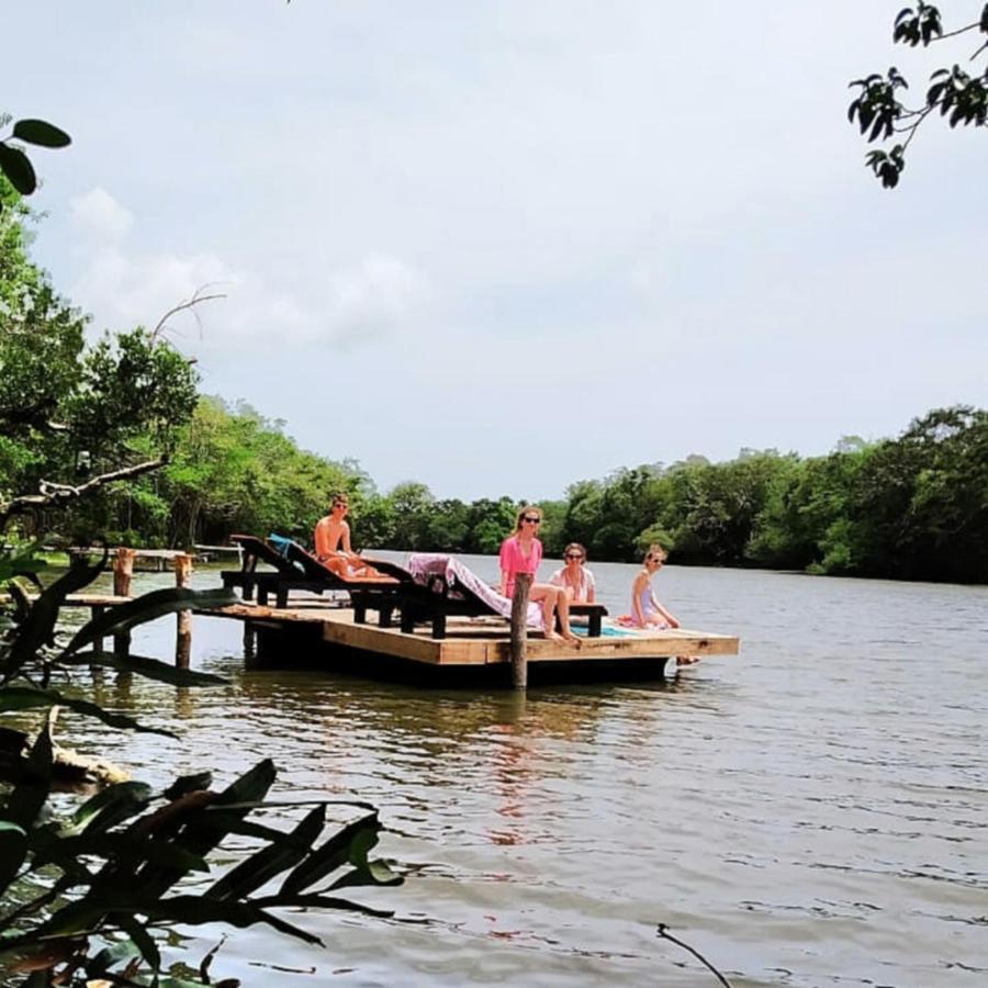 The Backwaters Lodge ウィルパットゥ エクステリア 写真