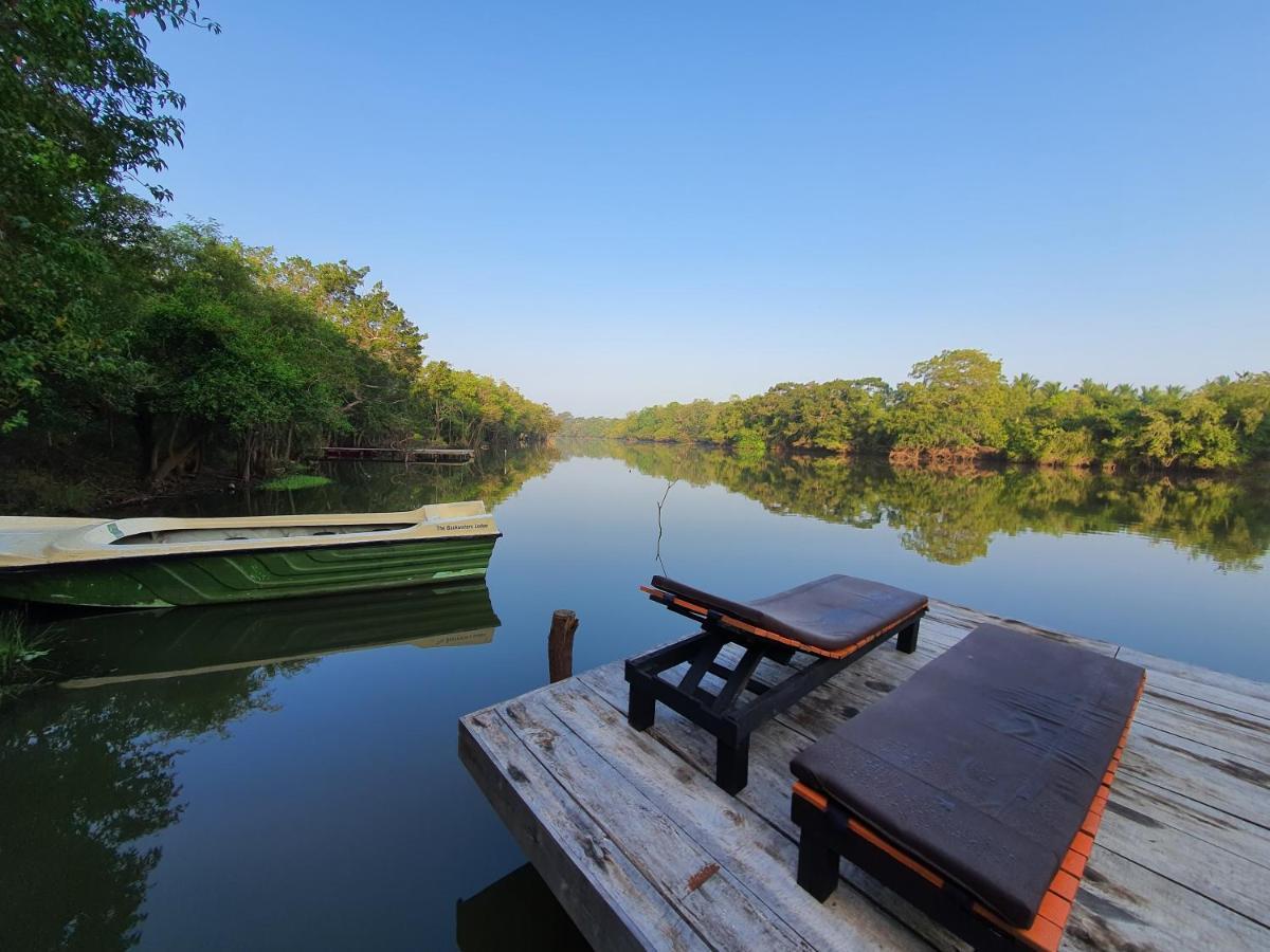 The Backwaters Lodge ウィルパットゥ エクステリア 写真