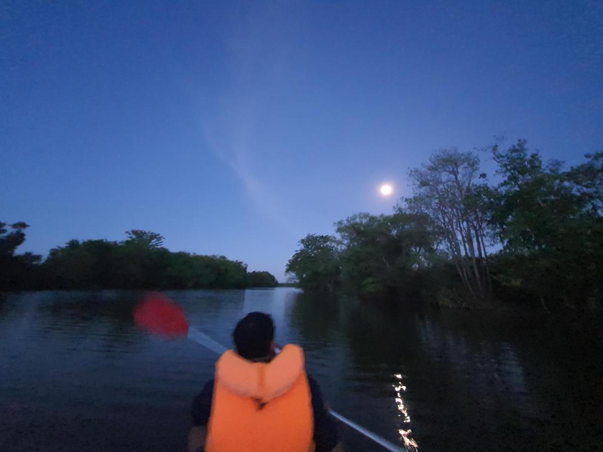 The Backwaters Lodge ウィルパットゥ エクステリア 写真