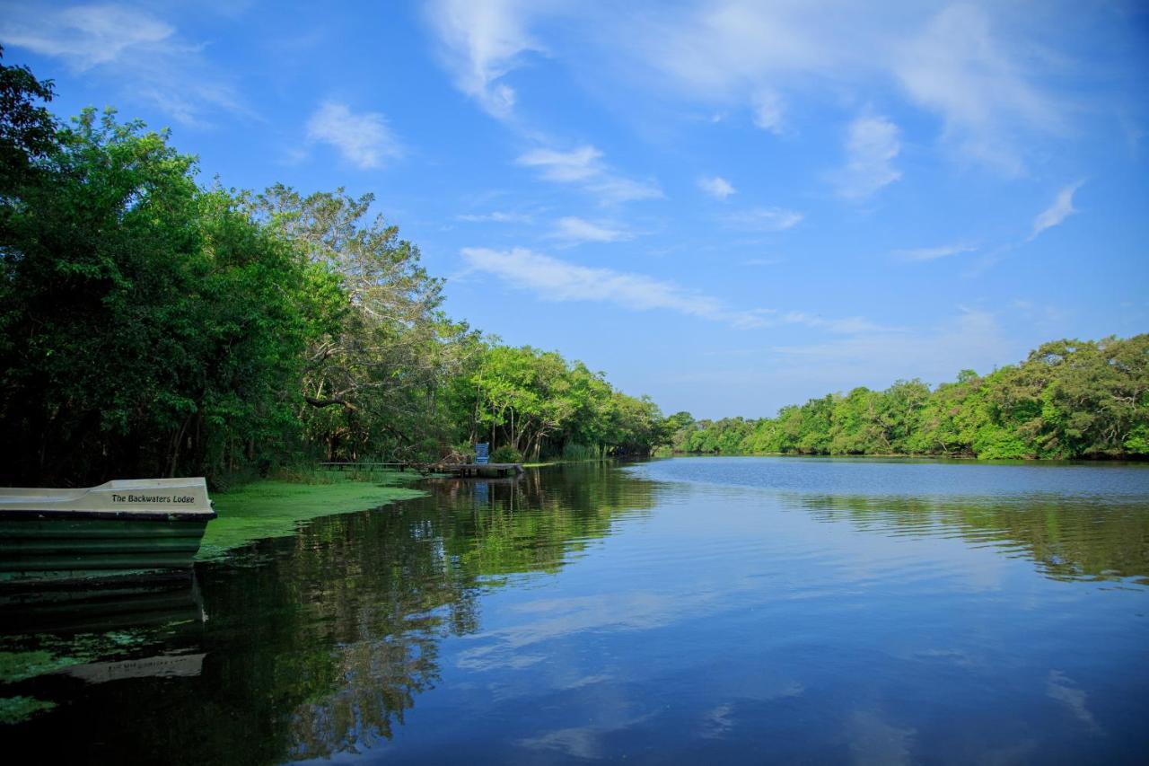 The Backwaters Lodge ウィルパットゥ エクステリア 写真