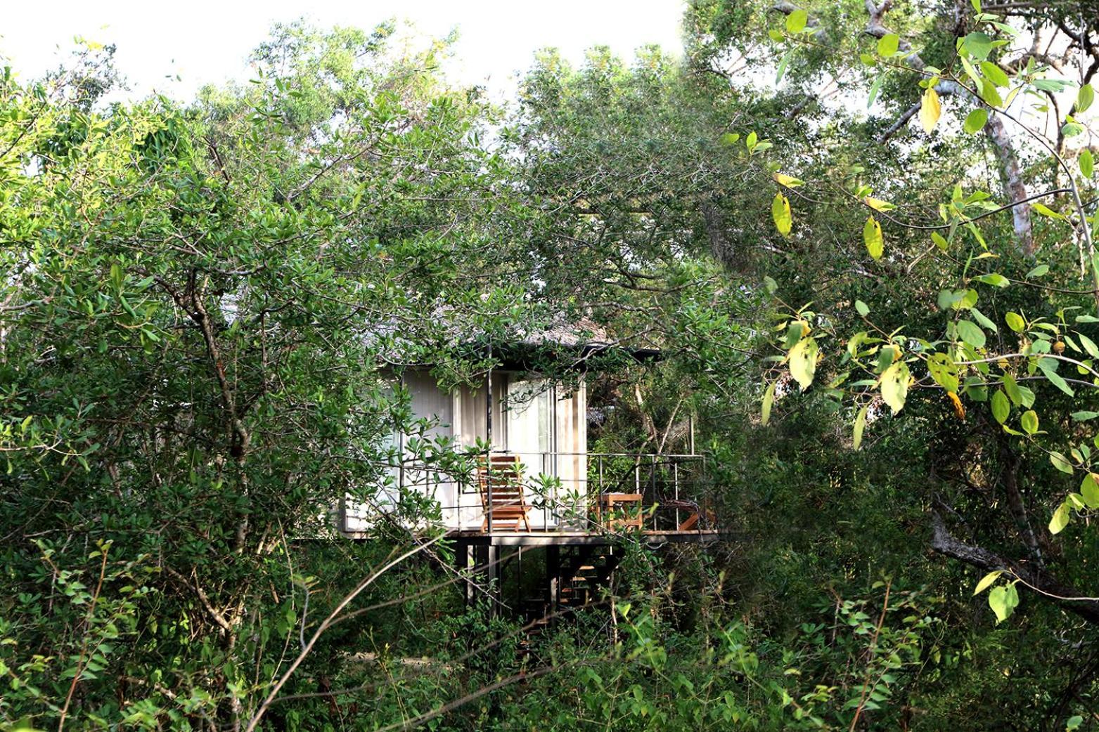 The Backwaters Lodge ウィルパットゥ エクステリア 写真