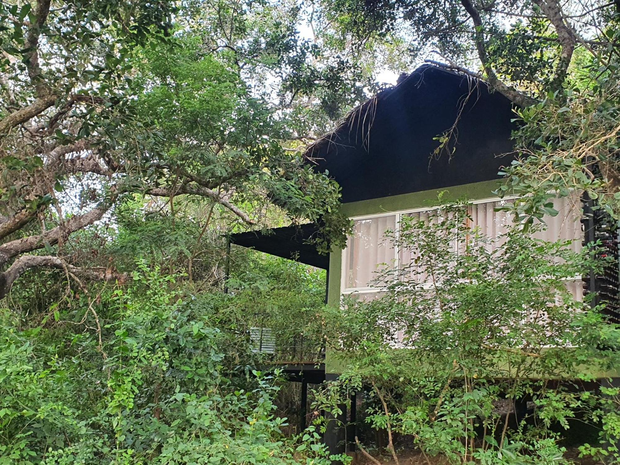 The Backwaters Lodge ウィルパットゥ エクステリア 写真