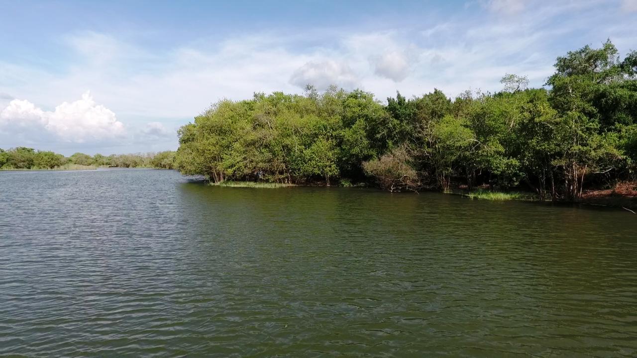 The Backwaters Lodge ウィルパットゥ エクステリア 写真