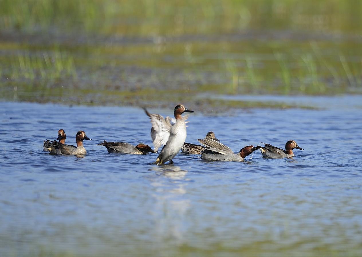 The Backwaters Lodge ウィルパットゥ 部屋 写真