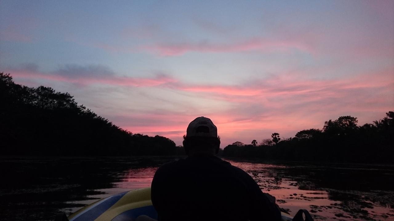 The Backwaters Lodge ウィルパットゥ エクステリア 写真