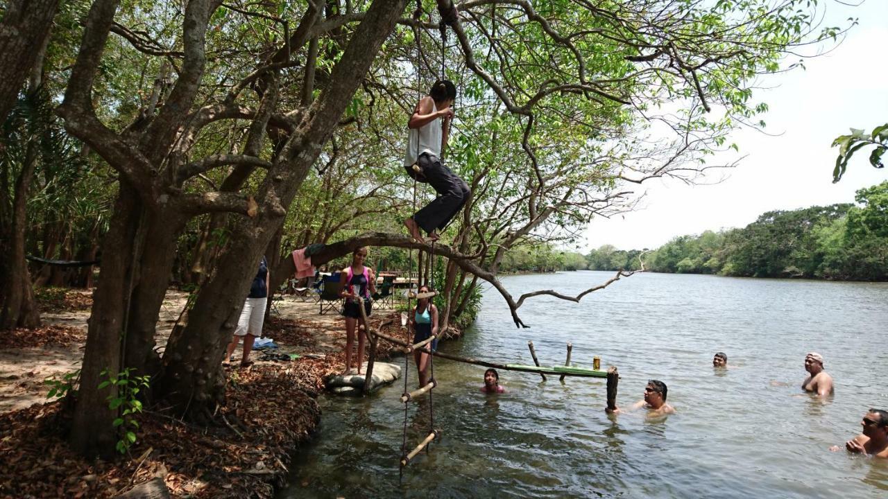 The Backwaters Lodge ウィルパットゥ エクステリア 写真